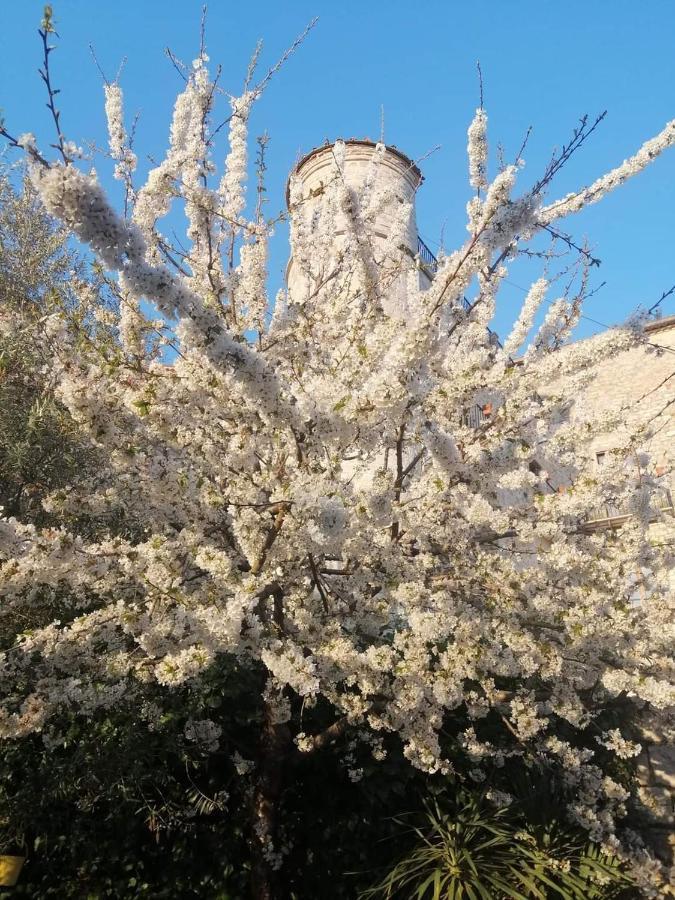 B&B Vicidomini San Marco dei Cavoti Exteriér fotografie